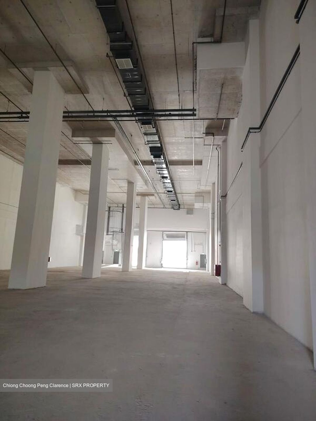 FOOD ASCENT (D22), Factory #523102481